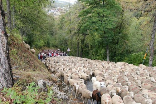 June in Nice France - Best of Nice